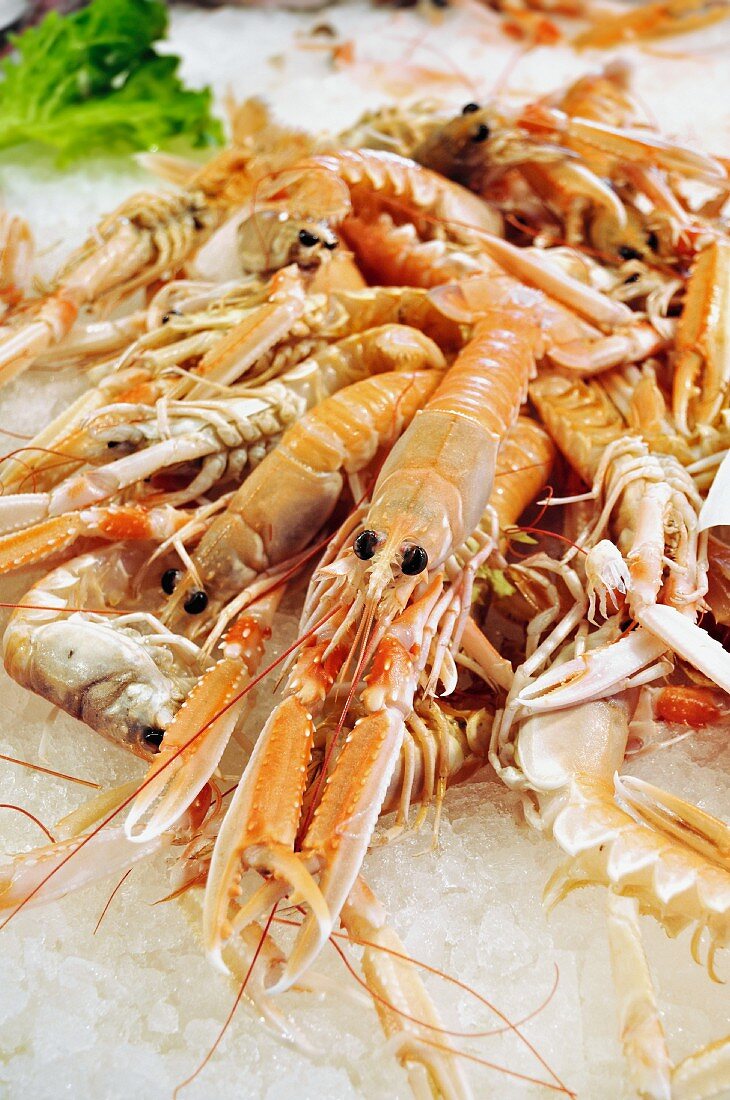 Scampi on ice