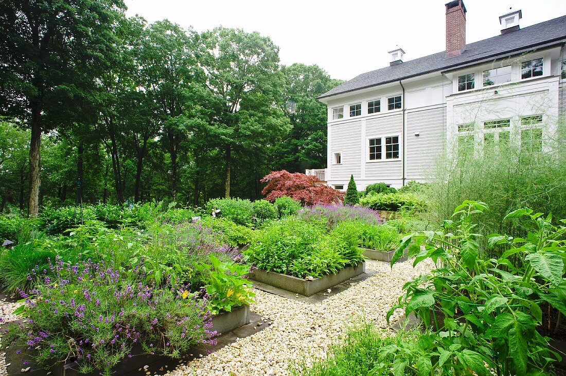 A garden with gravel paths and beds of herbs