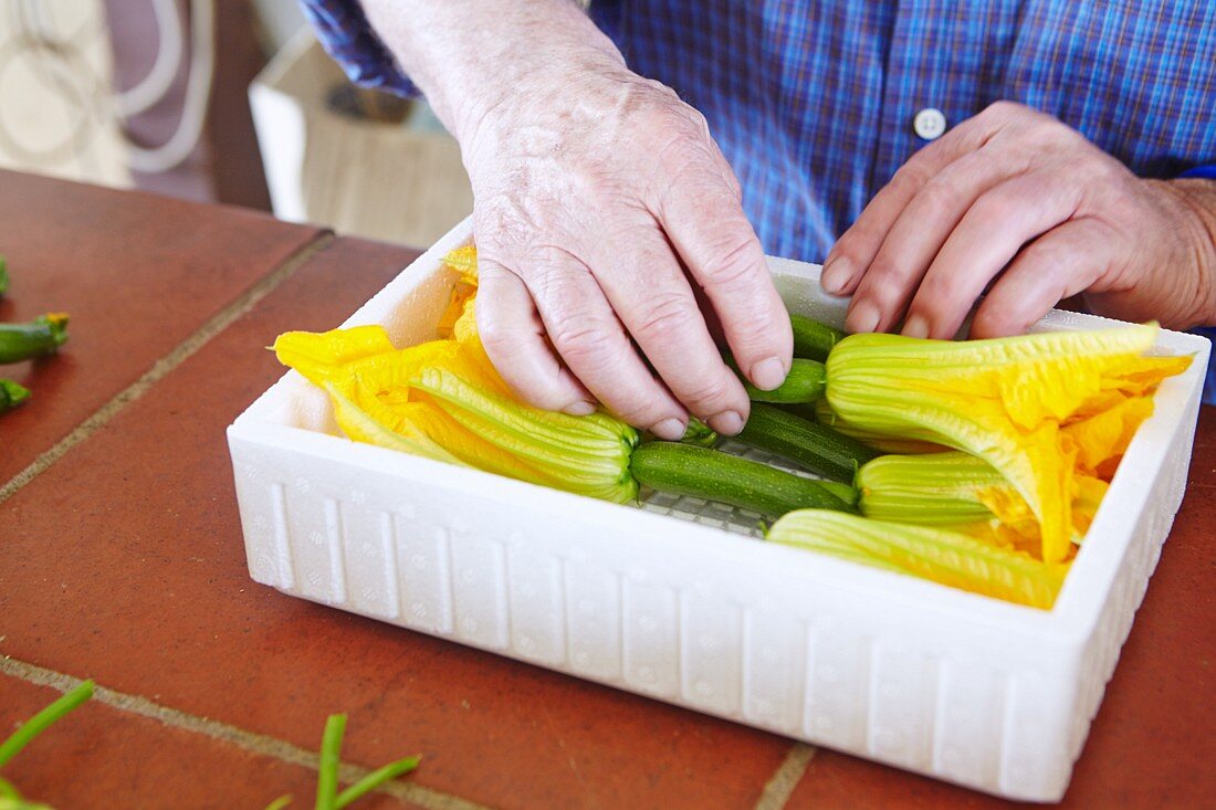 Courgette flowers being packed into a polystyrene container