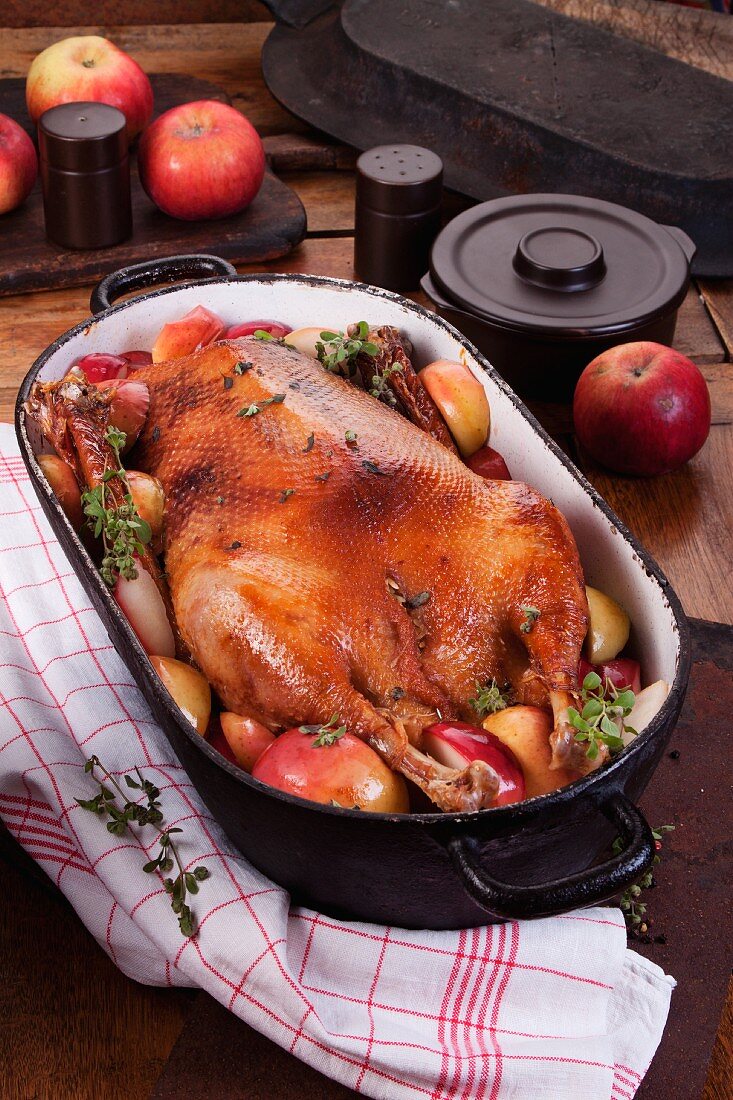 Roast goose with apples and marjoram in a roasting dish