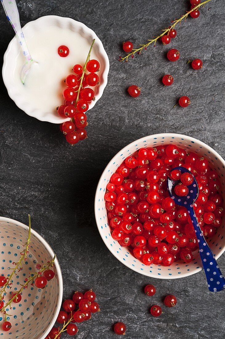 Bowls of redcurrants and yogurt