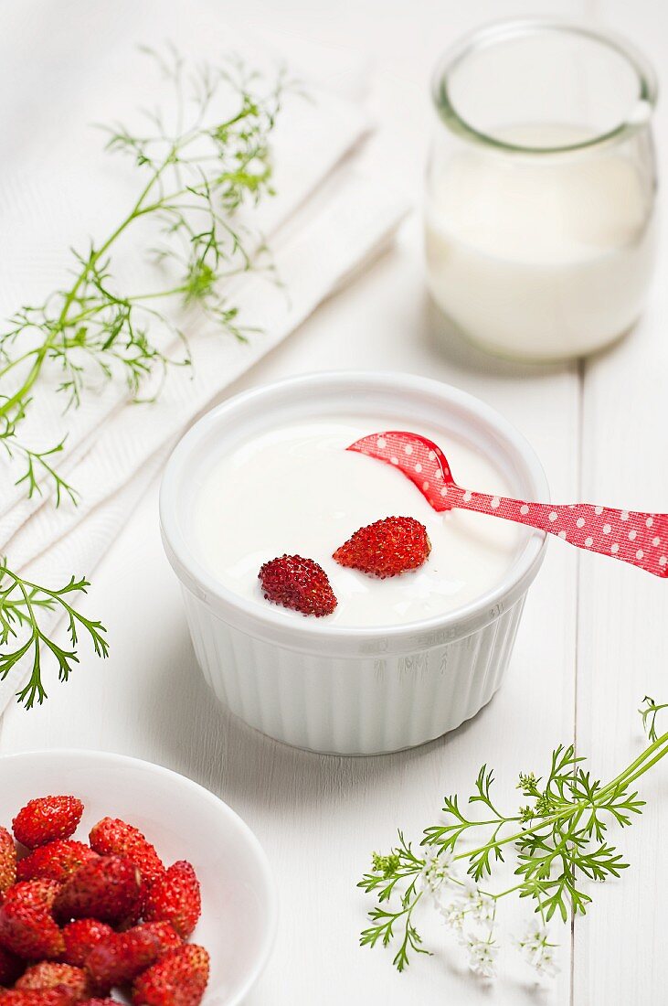 Joghurtcreme mit Walderdbeeren