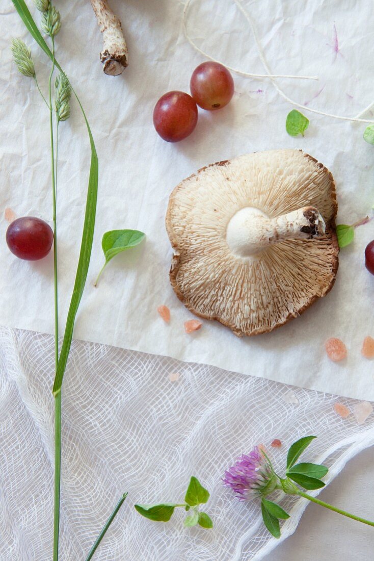 Shitake mushrooms and red grapes on a muslin cloth (seen from above)