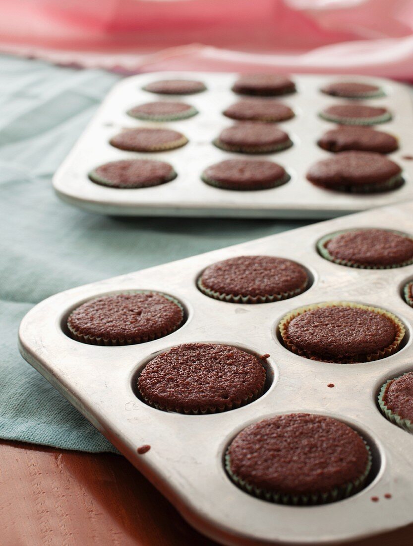 Chocolate cupcakes in a baking tin