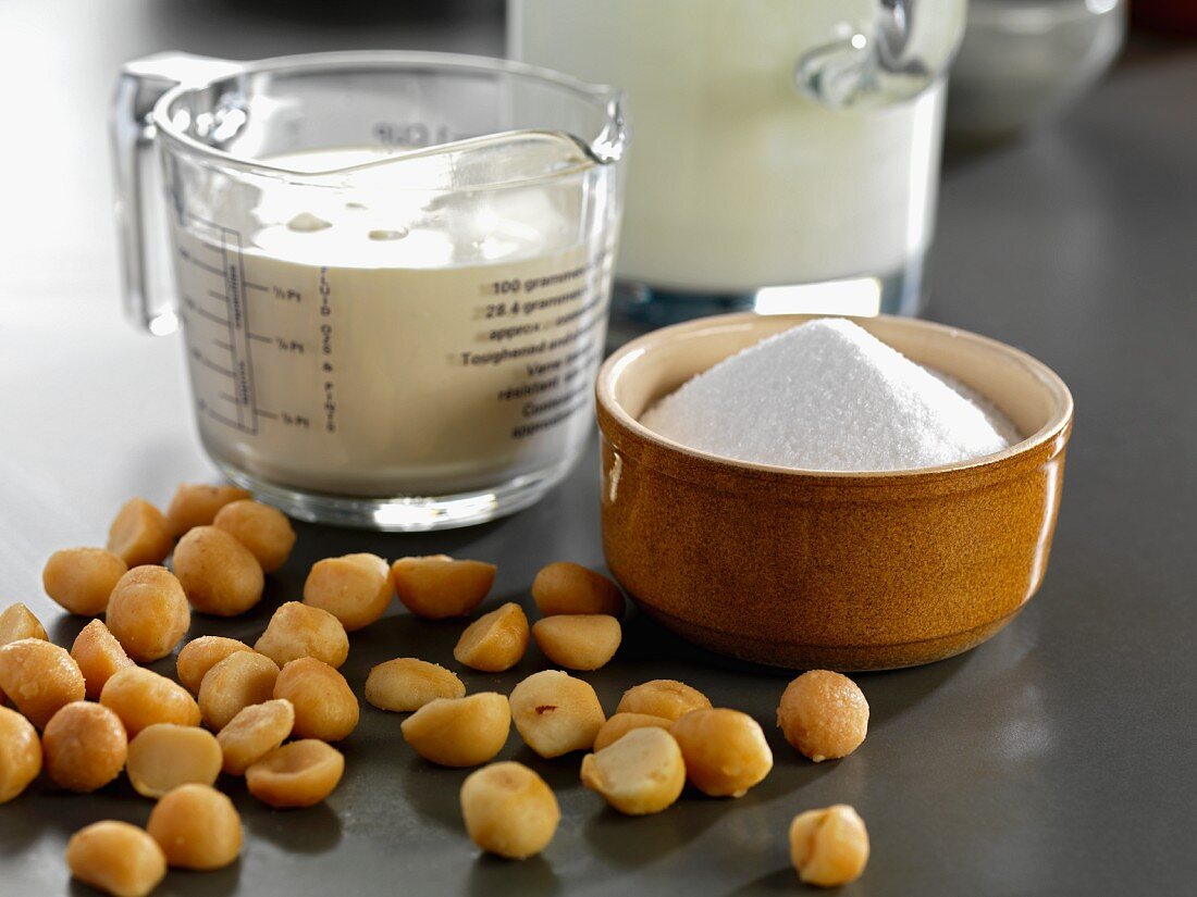 Ingredients for making macadamia nut ice cream