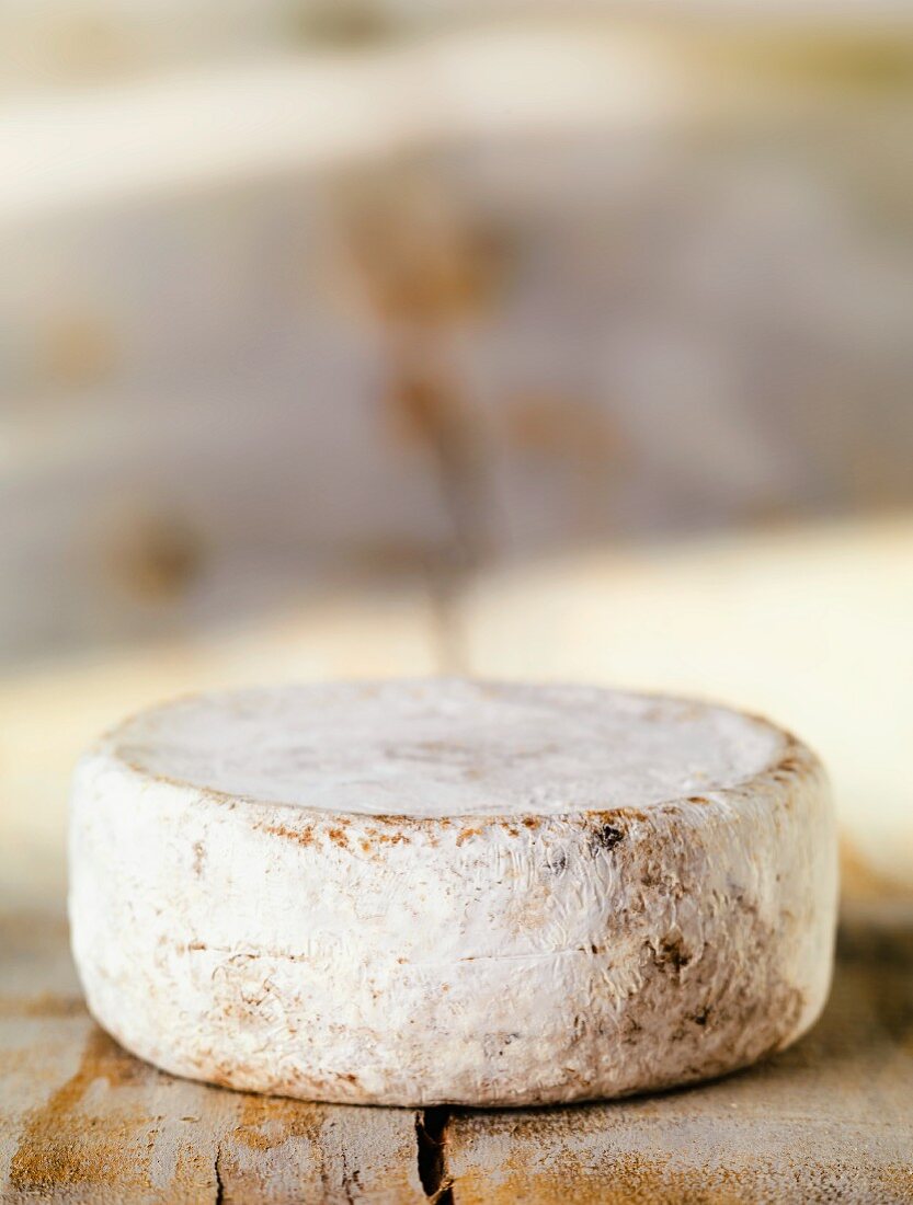 A wheel of Swiss Mutschli cheese
