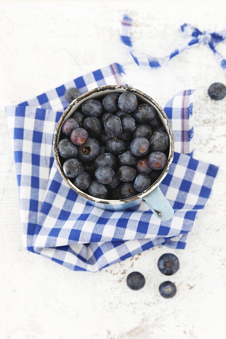 An enamel bowl of blueberries on a blue and white-checked apron
