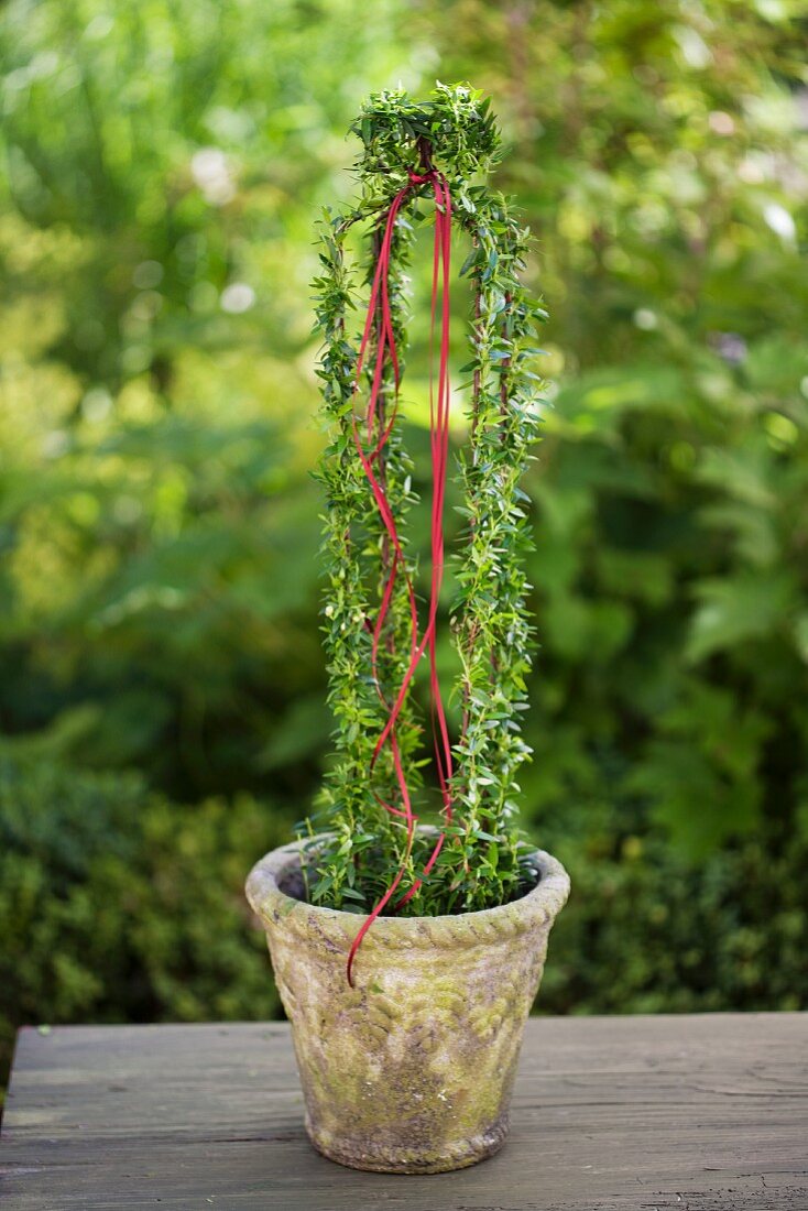 Metal crown wrapped in myrtle in vintage clay pot