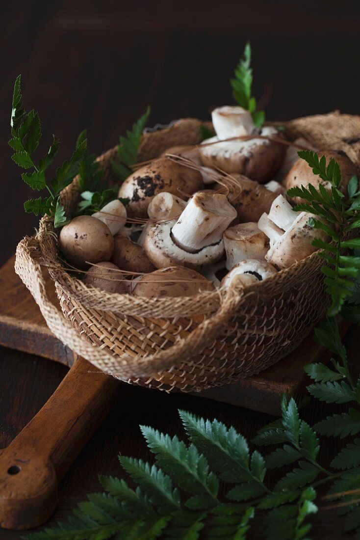 Fresh brown mushrooms in a basket