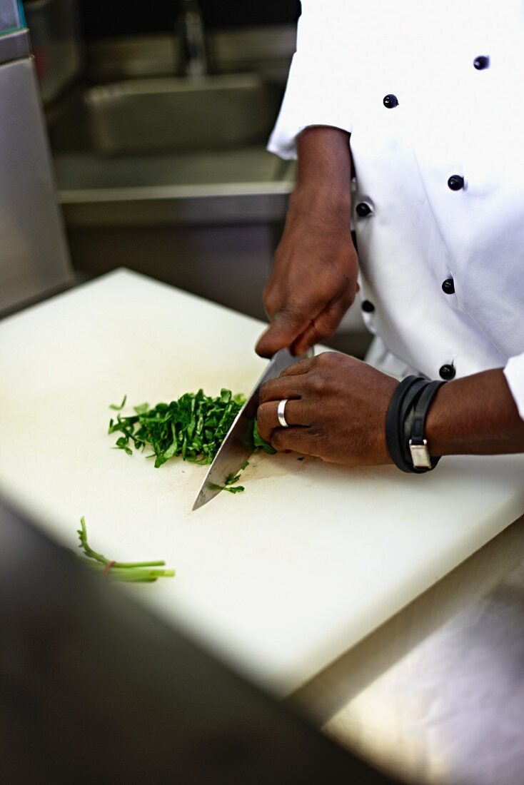 A chef cutting herbs