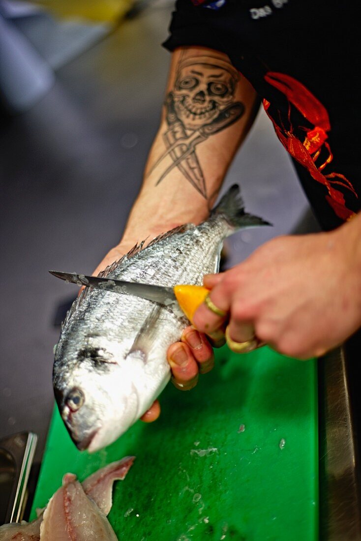 A seam bream being scaled