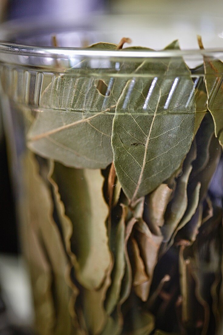 Dried bay leaves in a plastic cup