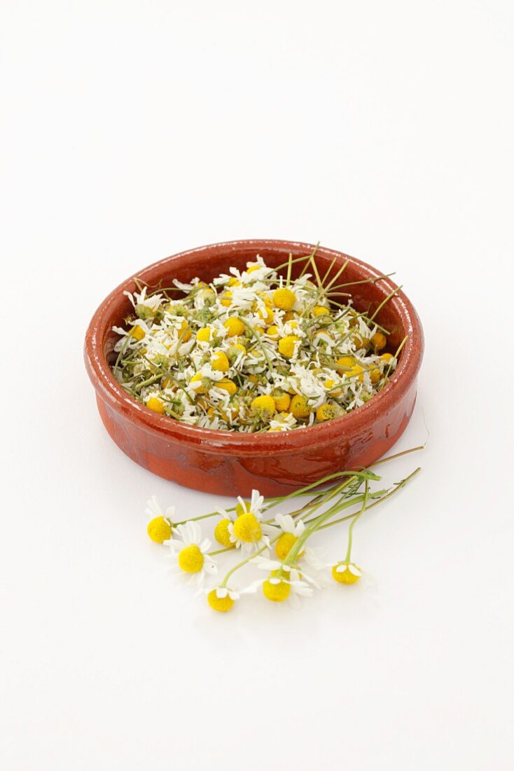 Dried camomile flowers in a terracotta dish