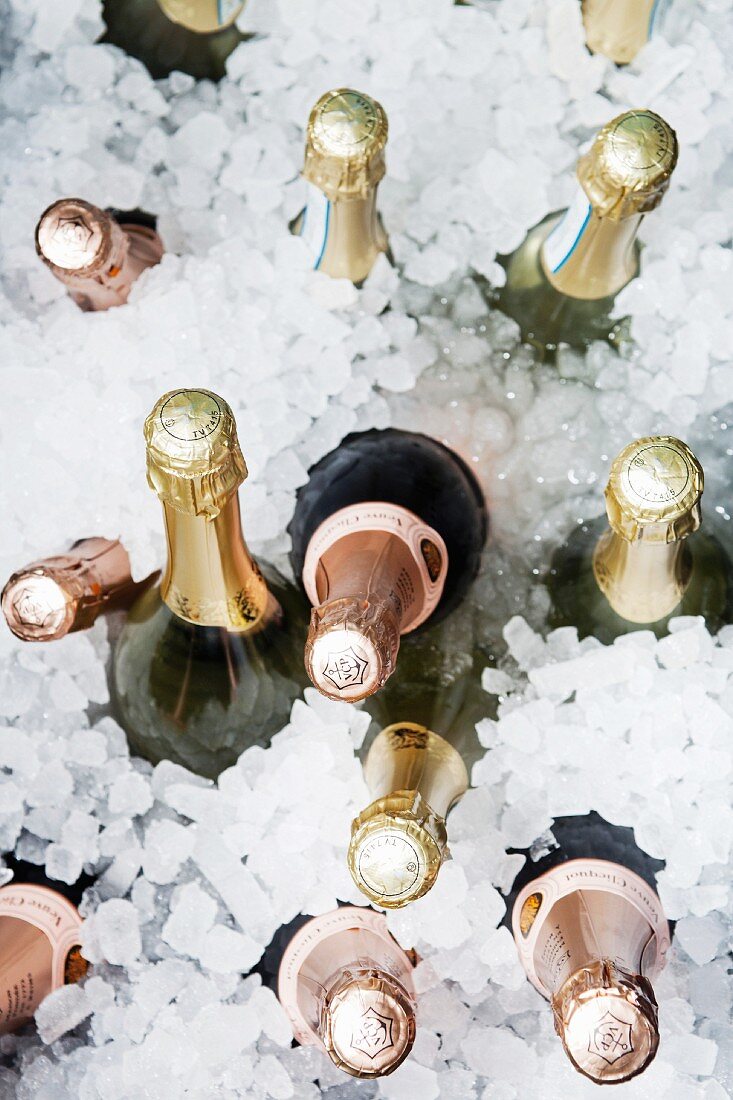 Champagnerflaschen in Eiswasser