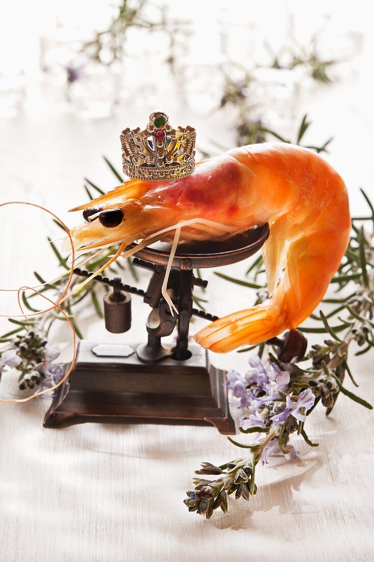 A giant prawn on a pair of scales