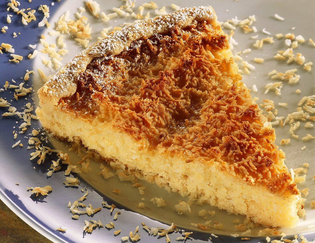 A piece of flaked coconut on plate