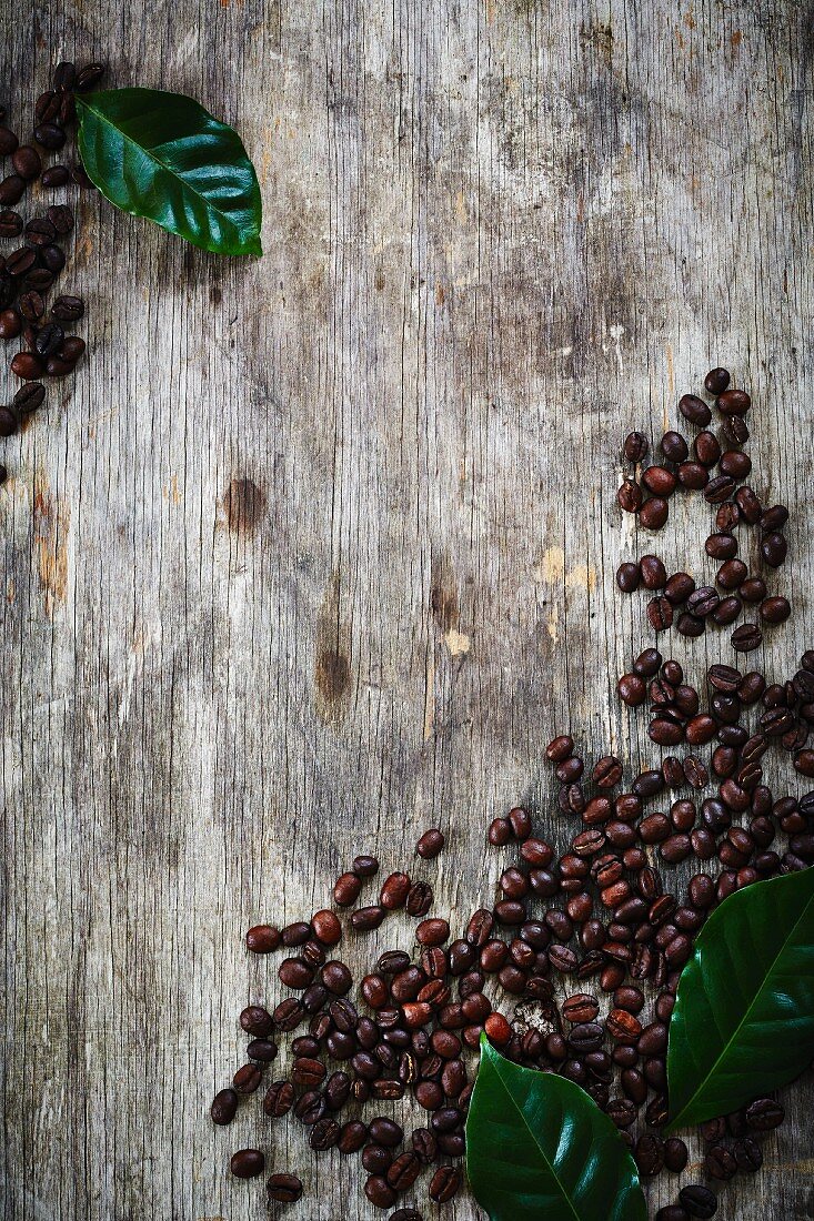 Coffee beans and coffee leaves on a wooden surface