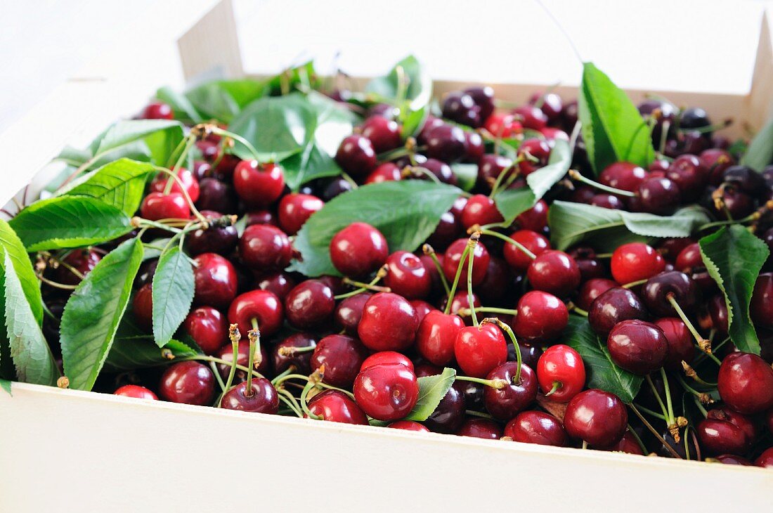 Cherries in a crate