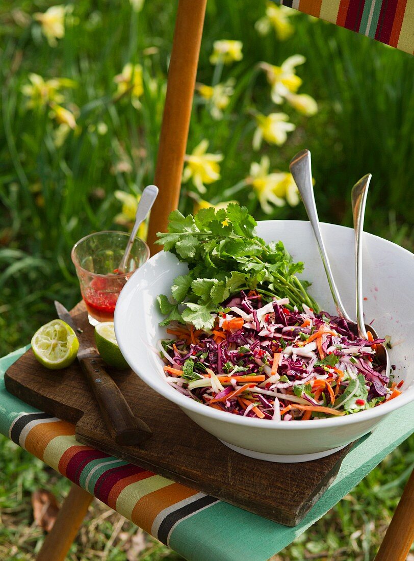 Vegetable salad with red cabbage and root vegetables on a garden chair