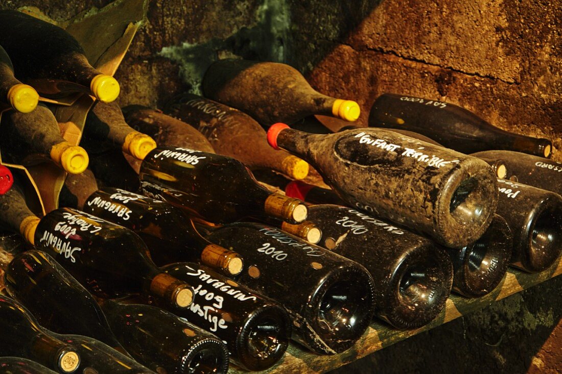 Verschiedene Cuvees im Weinkeller der Domaine Ganevat, La Combe, Rotalier, Jura, Frankreich