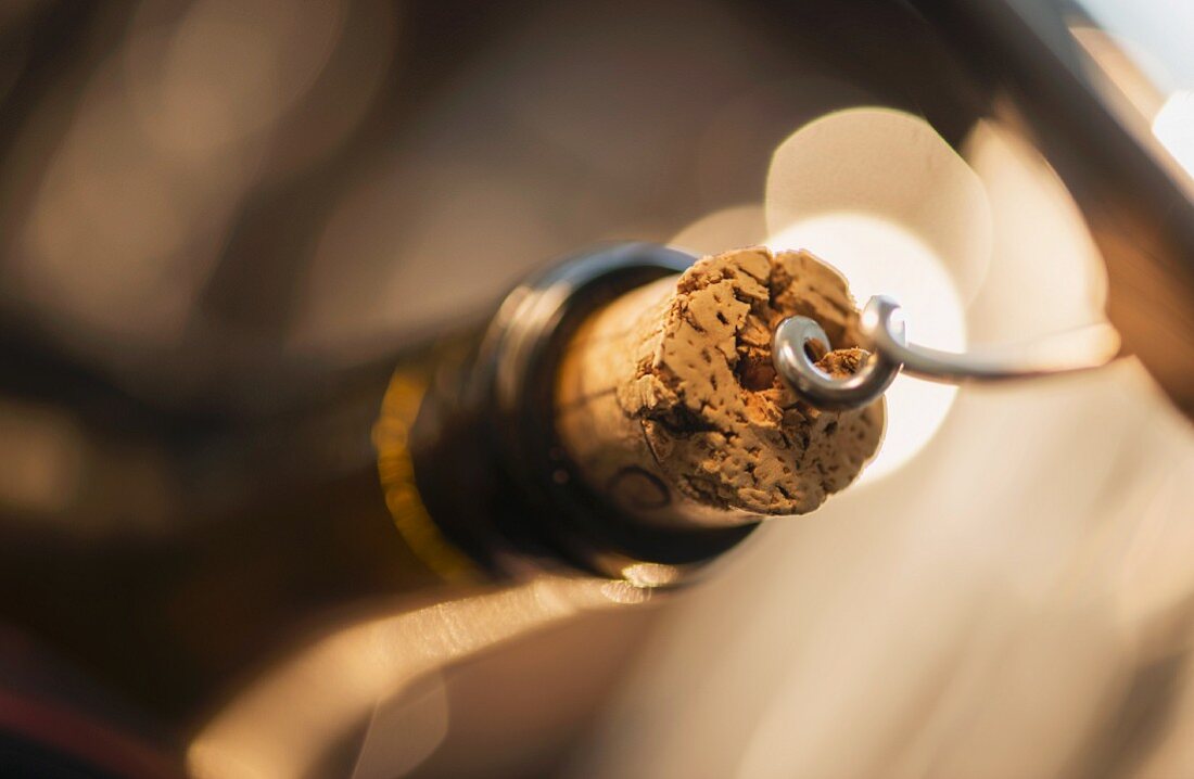 A corkscrew in a cork in a bottle