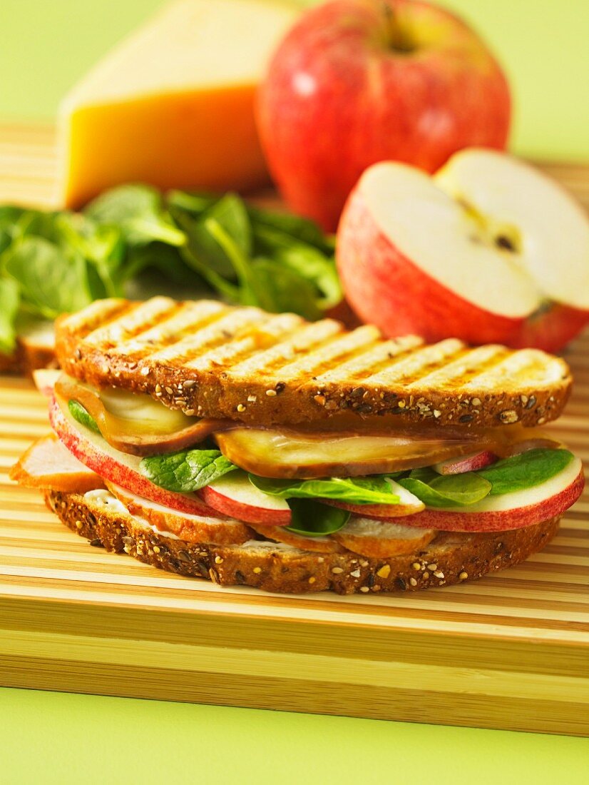 A toasted chicken, apple and smoked cheese sandwich