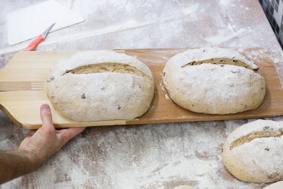 A hand holding a wooden tray with loaves of unbaked bread