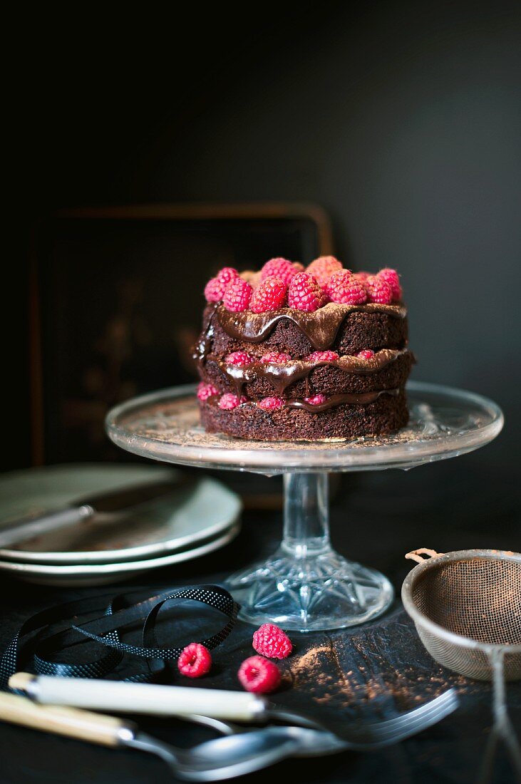 Dark chocolate and raspberry cake on a cake stand