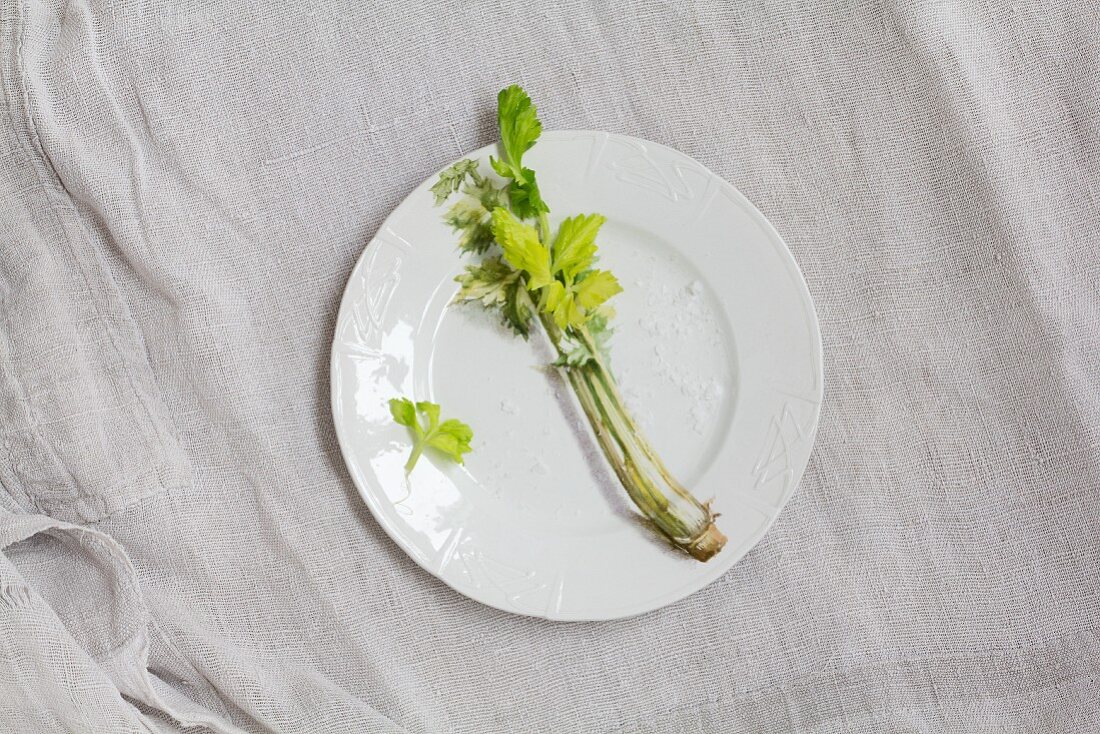 Celery and coarse salt on white porcelain plate