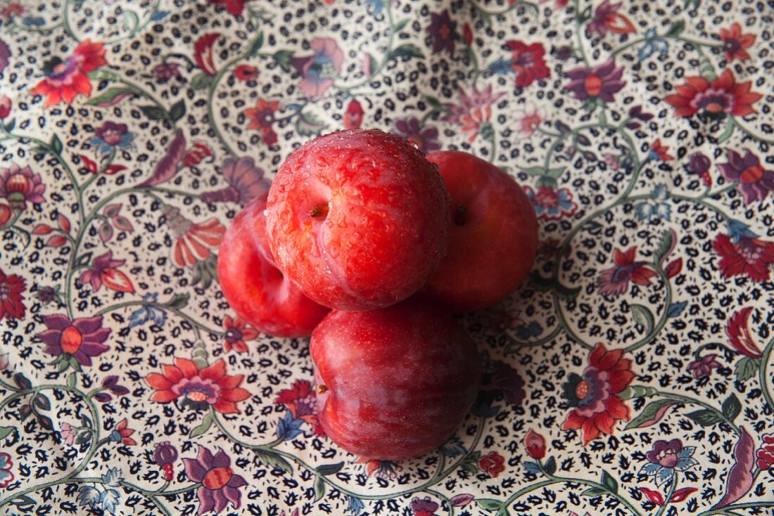 Freshly washed organic plums on a floral cloth