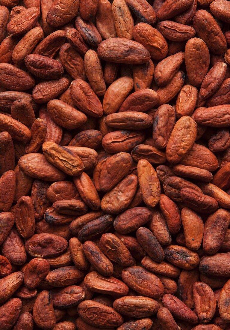 Cocoa beans, full frame