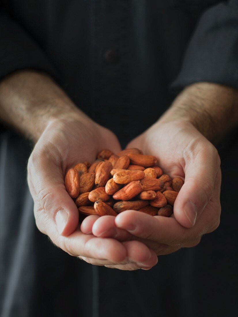 Hands holding cocoa beans