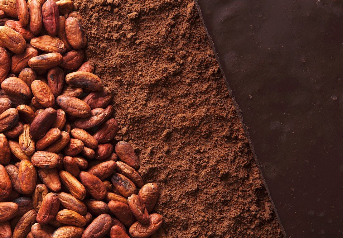 Kakaobohnen, Kakaopulver und Schokolade