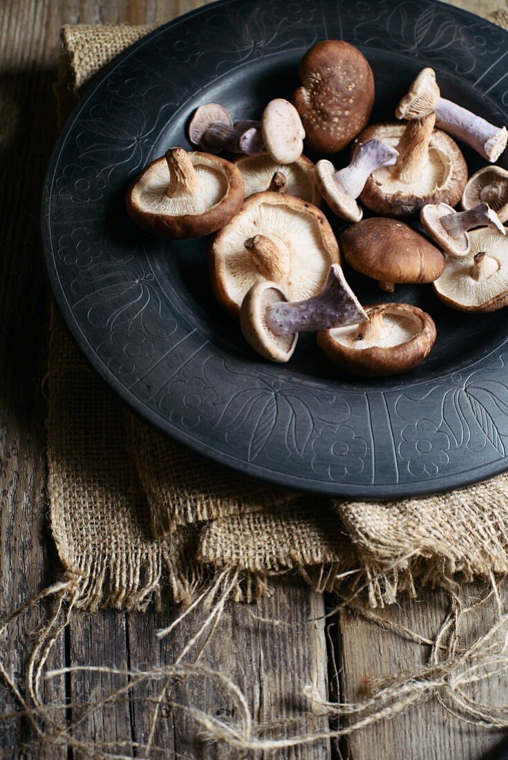Purple wood blewits and shiitake mushrooms on a plate