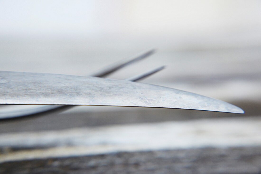 Carving cutlery (close-up)