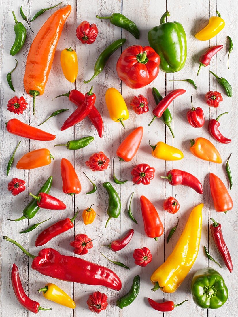 Peppers and chilli peppers