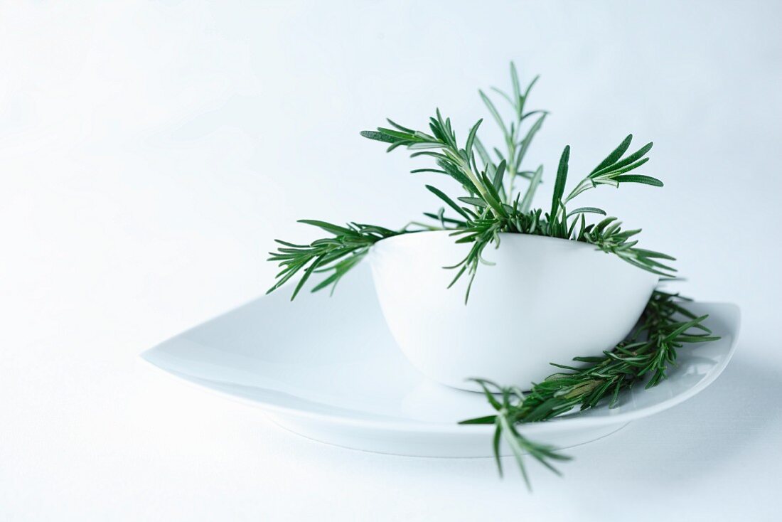A sprig of rosemary in a white bowl on a white plate