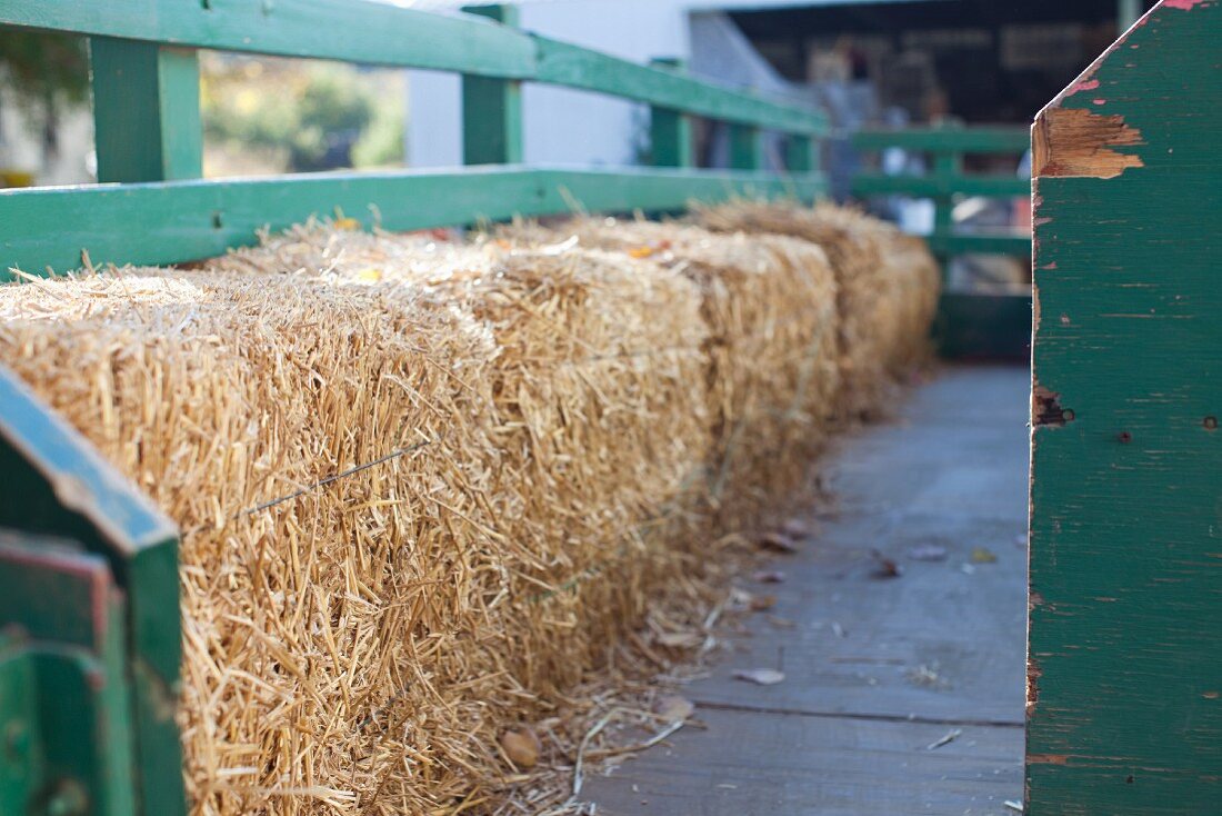 Bales of hay in a tractor trailer