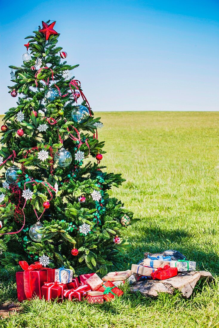 Weihnachtsgeschenke unter geschmücktem Tannenbaum auf Wiese im Freien