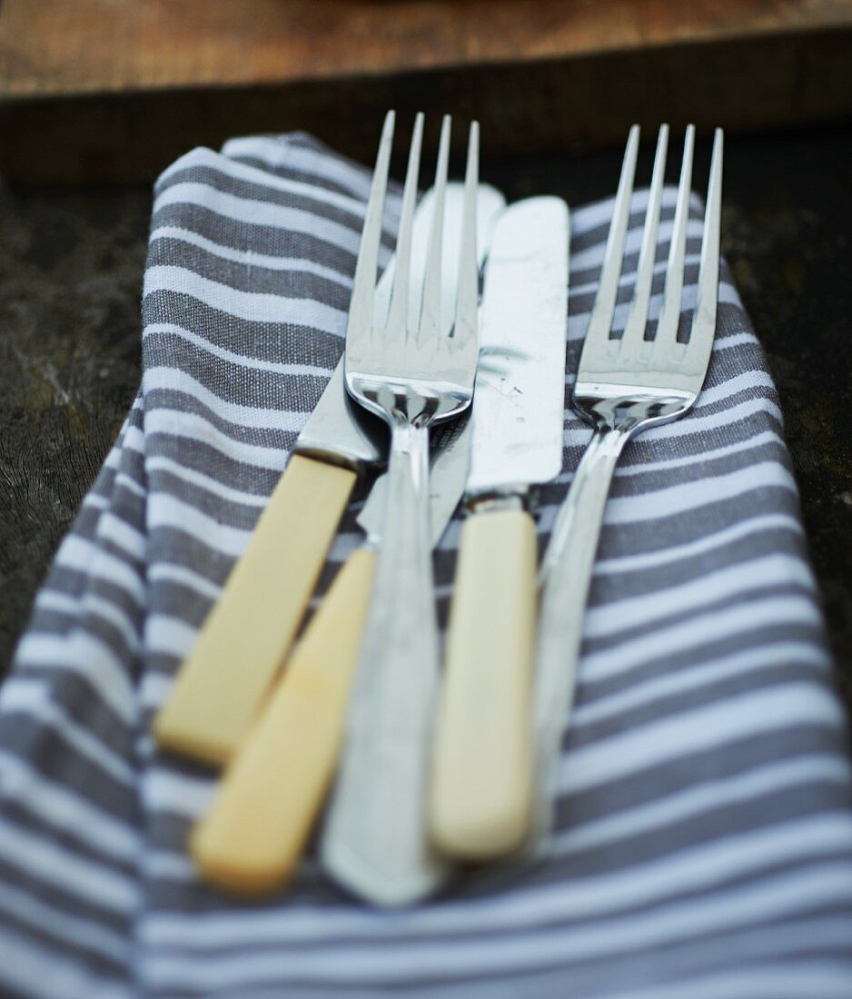 Picnic cutlery on a striped fabric napkin