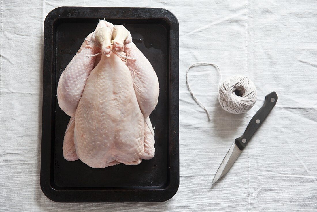 Bratfertiges Bio-Huhn, Messer und Küchengarn