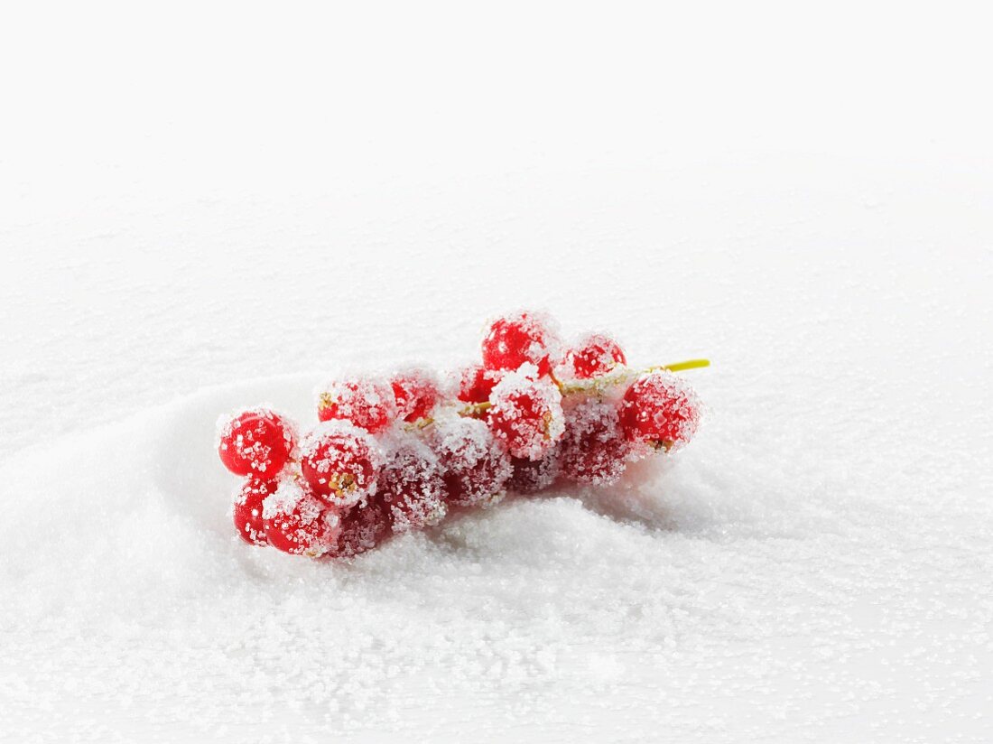 Redcurrants in a pile of sugar