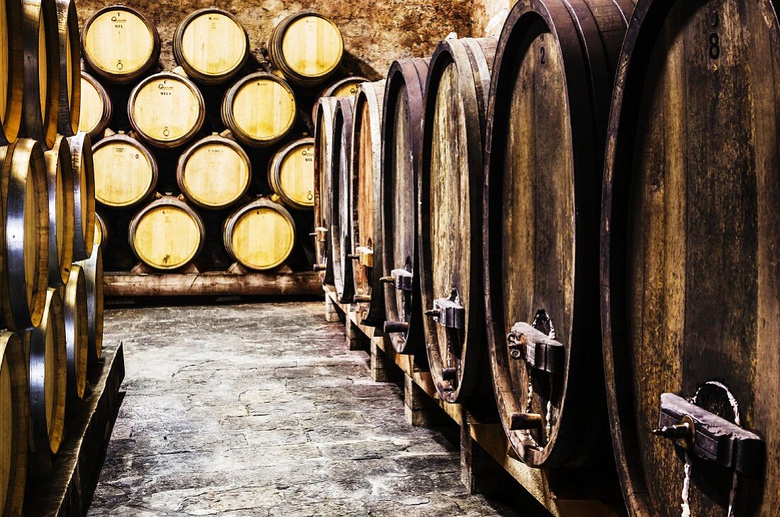 Wooden barrels in a wine cellar (barrique cellar)
