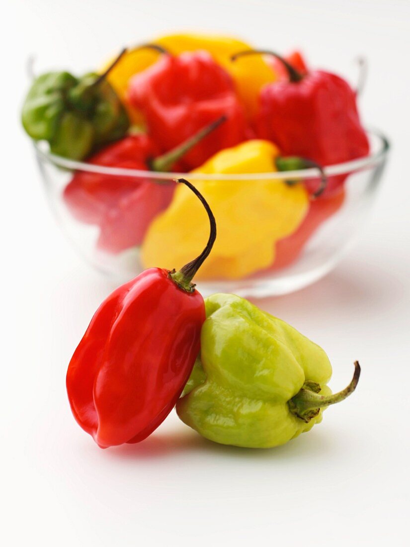 Caribbean chilli peppers