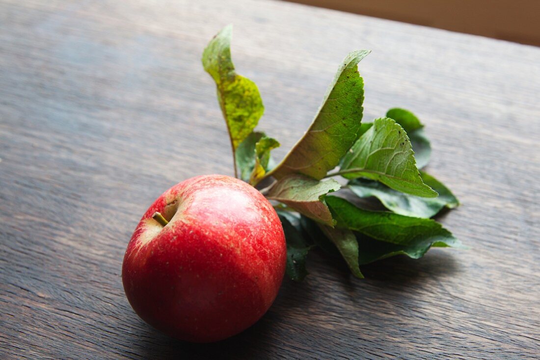 A red organic apple with leaves