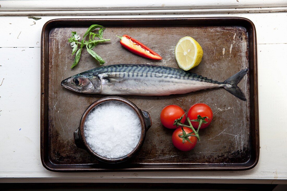 Mackerel with tomatoes, salt, chilli peppers, basil and lemon on a baking tray