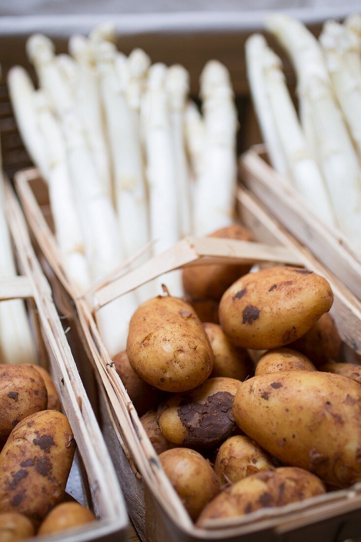 White asparagus and new potatoes in a wooden basket