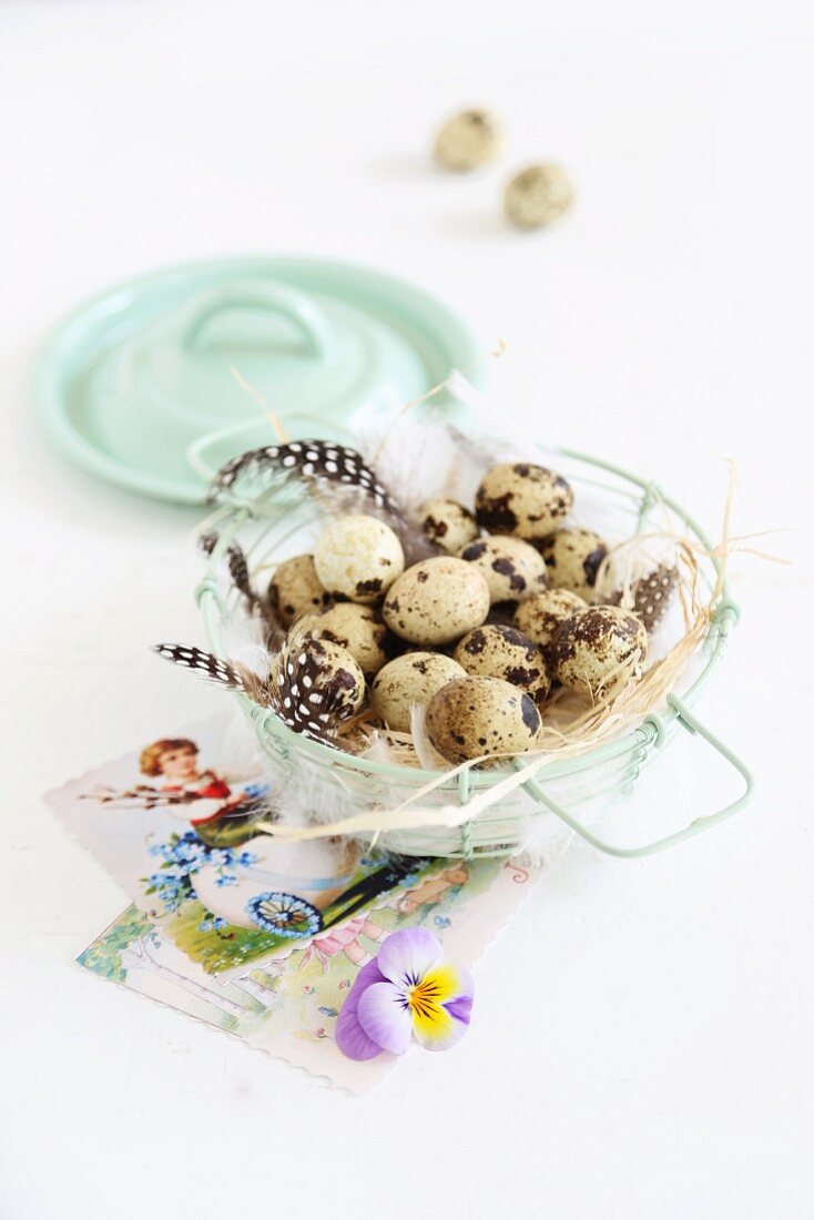 Quails' eggs, feathers and Easter greetings cards