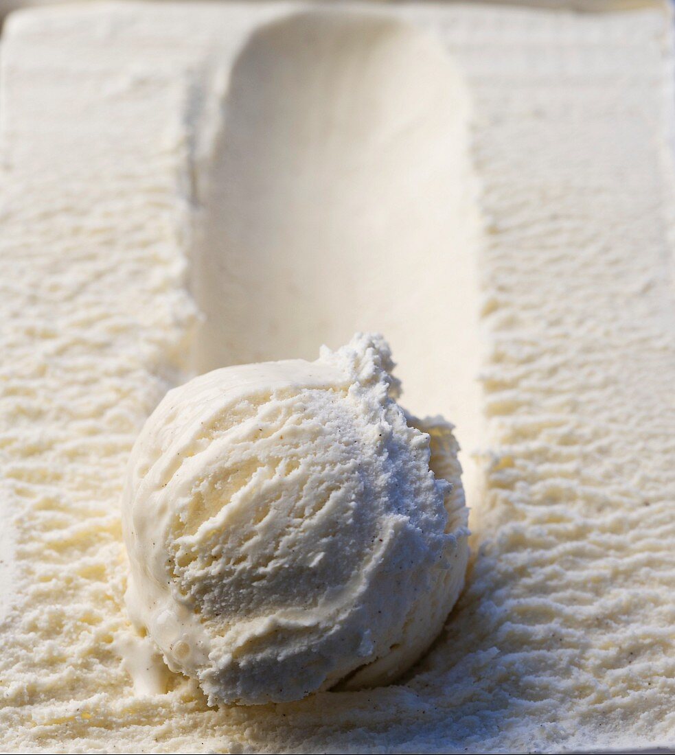 A scoop of vanilla ice cream