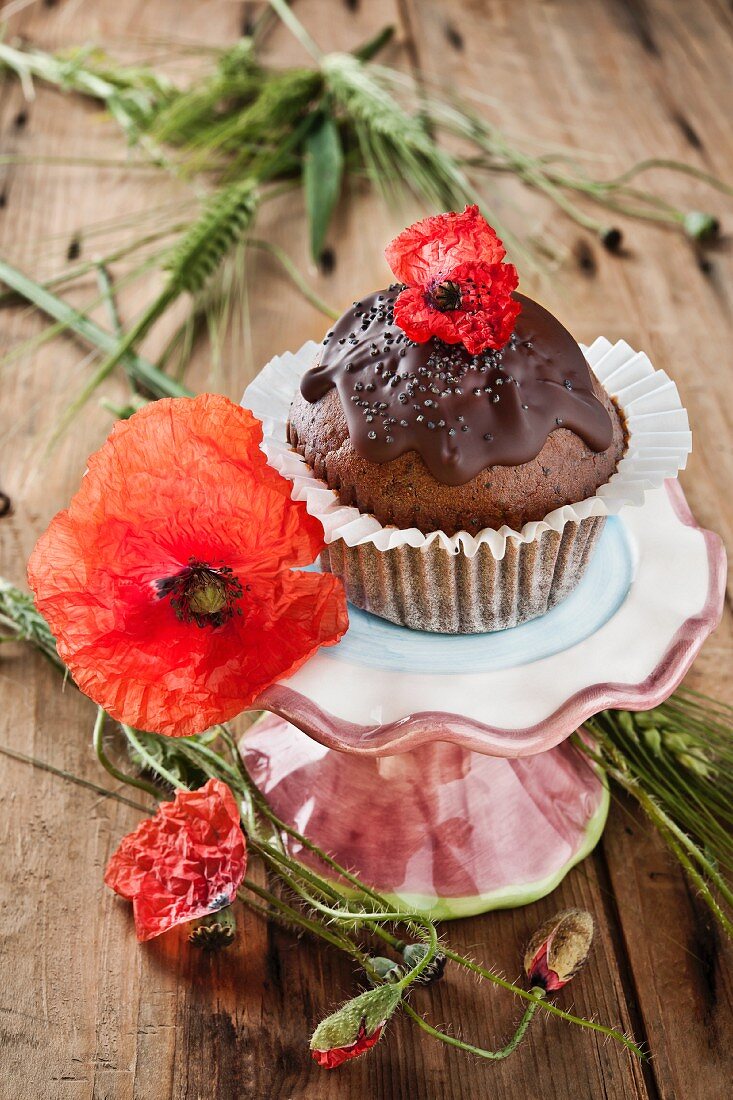 A chocolate and carrot muffin